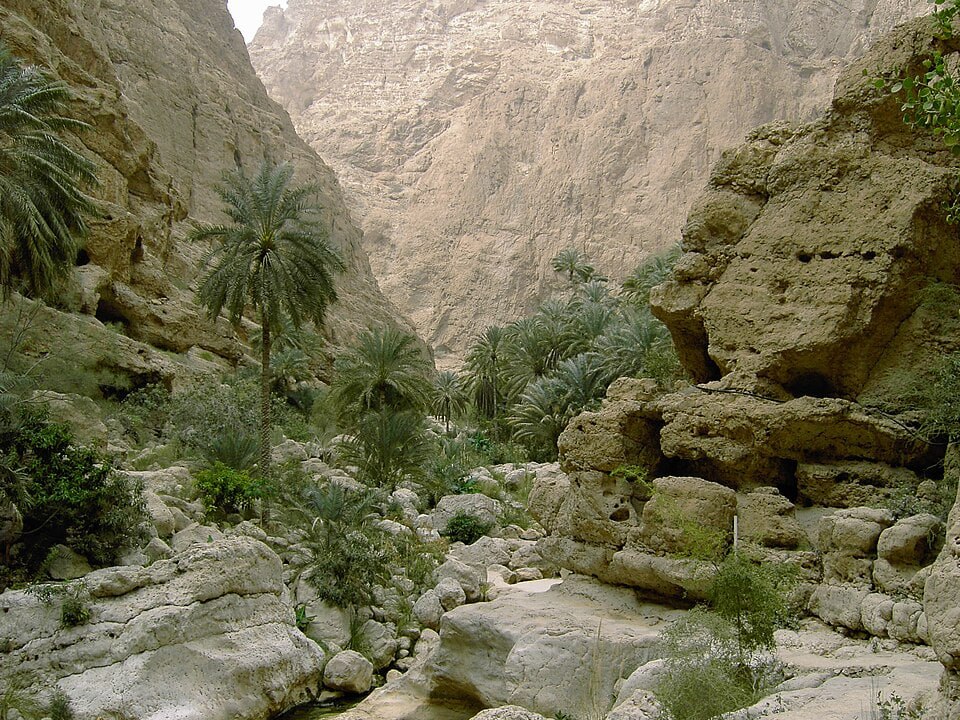 Ущелье в горах Хаджар, Рас-эль-Хайма — пальмы и скалы